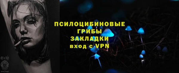 МДПВ Богданович