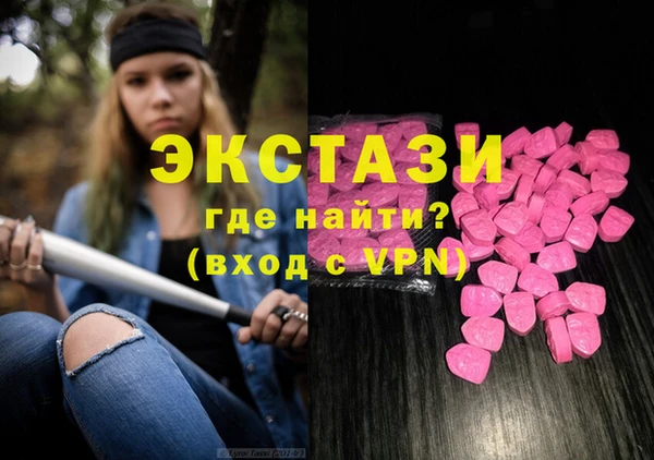 гашик Богородск