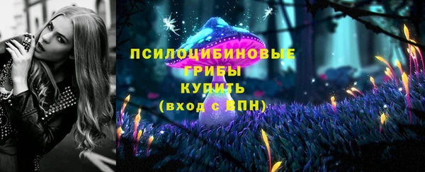 mix Богородицк