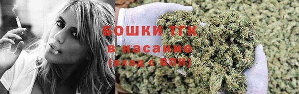 дживик Бородино