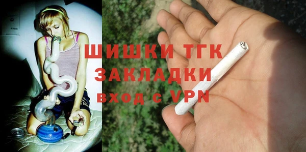 mix Богородицк