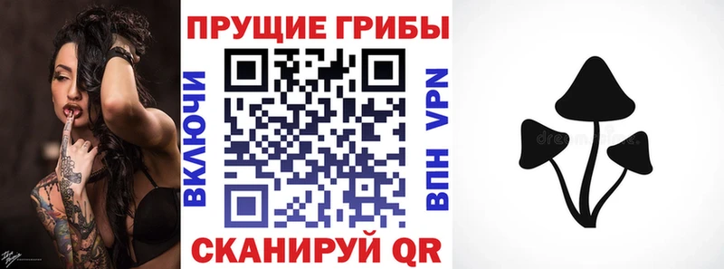 Галлюциногенные грибы Cubensis наркотики Мамадыш